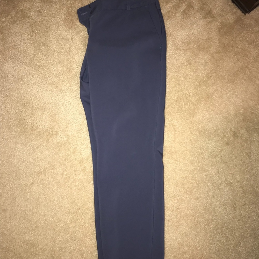 Express Columnist Crop Pants